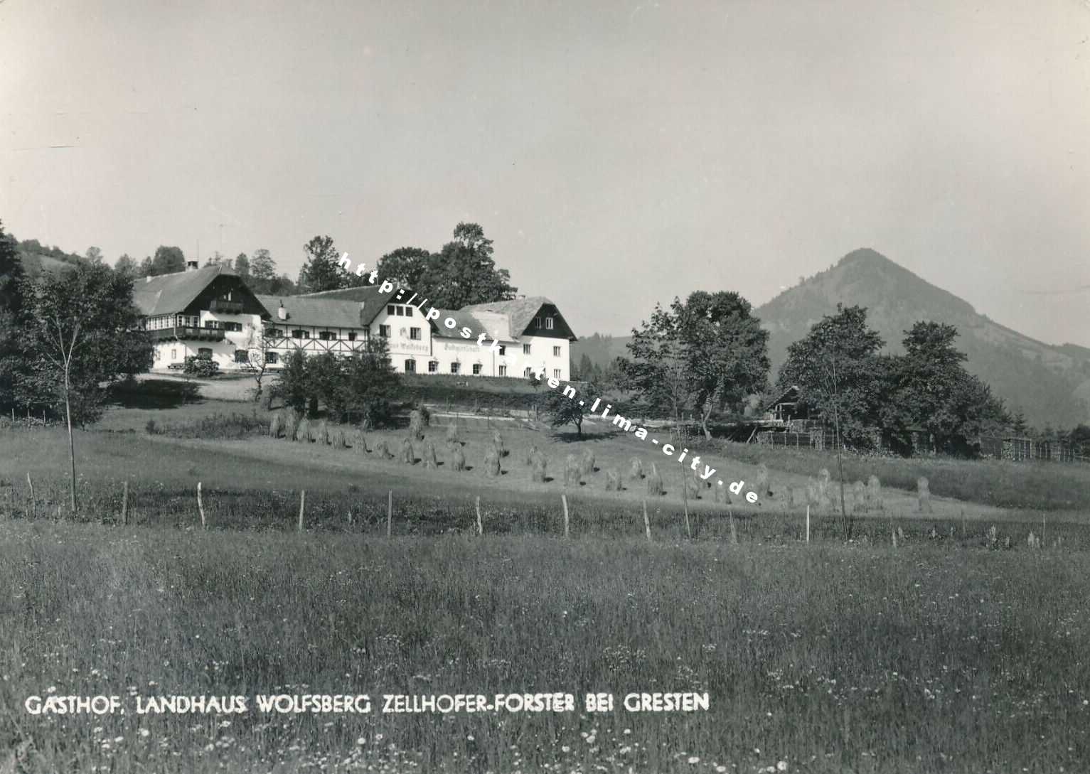 Gresten Wolfsberg 